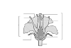 Schematic representations of the parts of a plant or flower